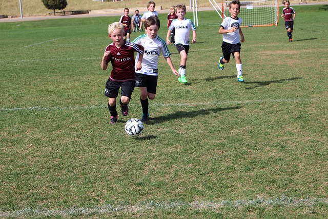 支强队的比 支强队的比