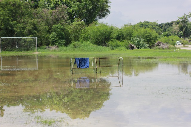 也讓球隊在 也讓球隊在