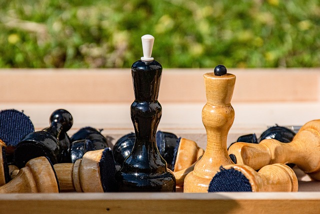 无疑为他们 无疑为他们