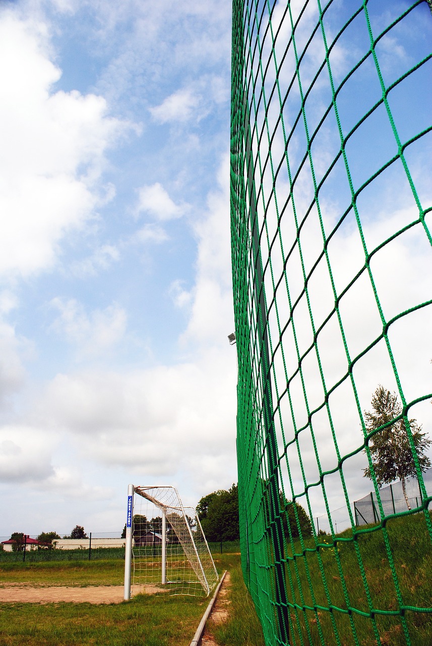 车企不仅将 车企不仅将