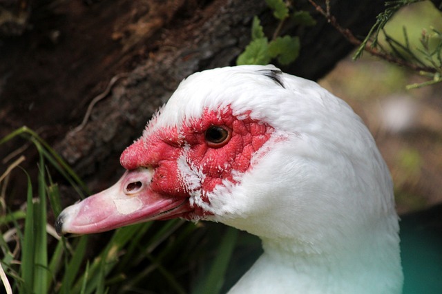表示理解 表示理解