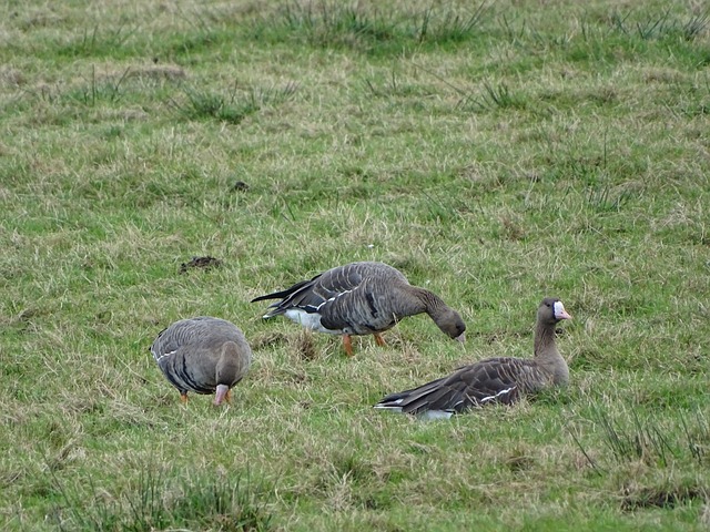 箭队在平常