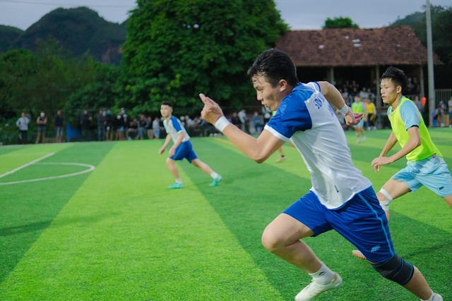 种基于历史 种基于历史